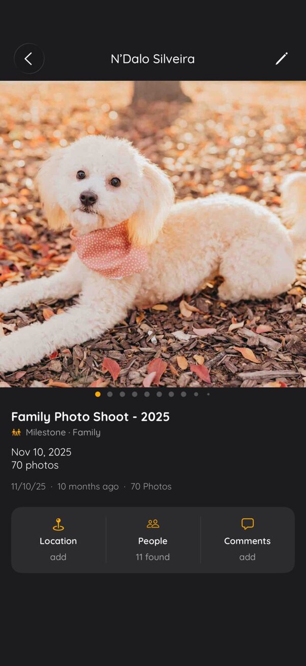 A finished story, Family Photo Shoot 2025, filed in the Family milestone